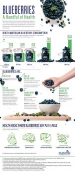 The Amazing Health Benefits of Blueberries!