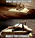 What Doesn’t Kill You Makes You Stronger
