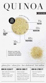 Quinoa Is Not A Grain