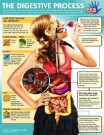 What Happens to Food After You Eat it?